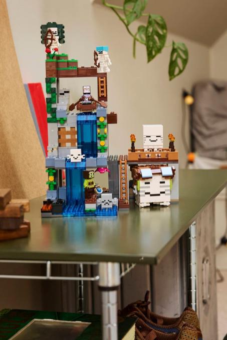 LEGO 21597-