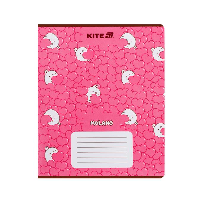 Kite ML25-237