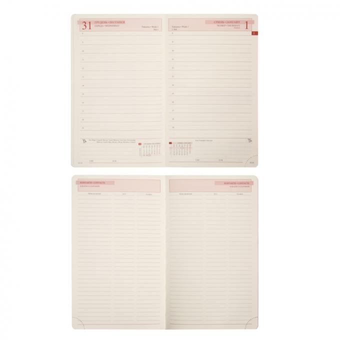 Leo planner 252631