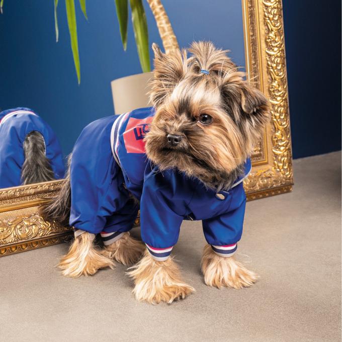 Pet Fashion 4823082429950