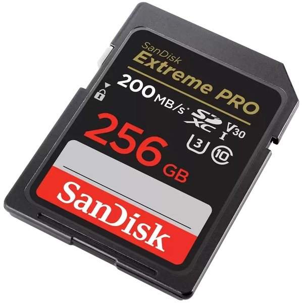 SANDISK SDSDXXD-256G-GN4IN