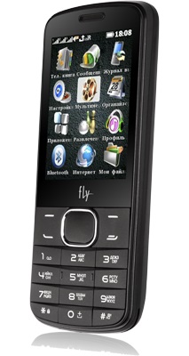 Мобильный телефон Fly TS111 Black