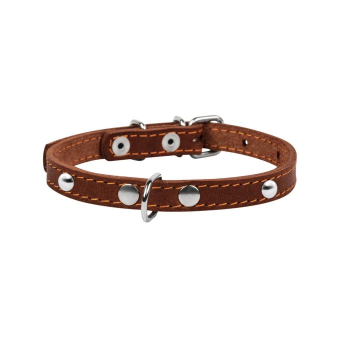 Collar 00236