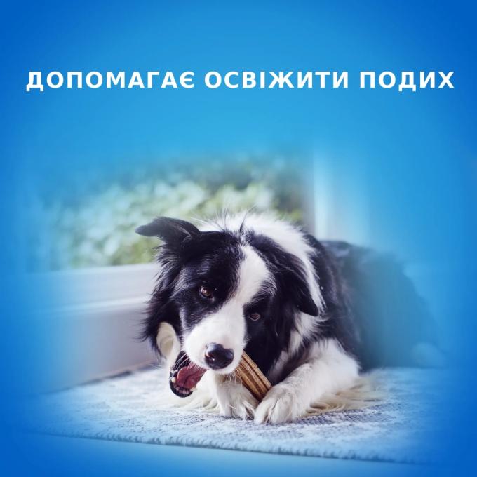 Purina DentaLife 7613035379817
