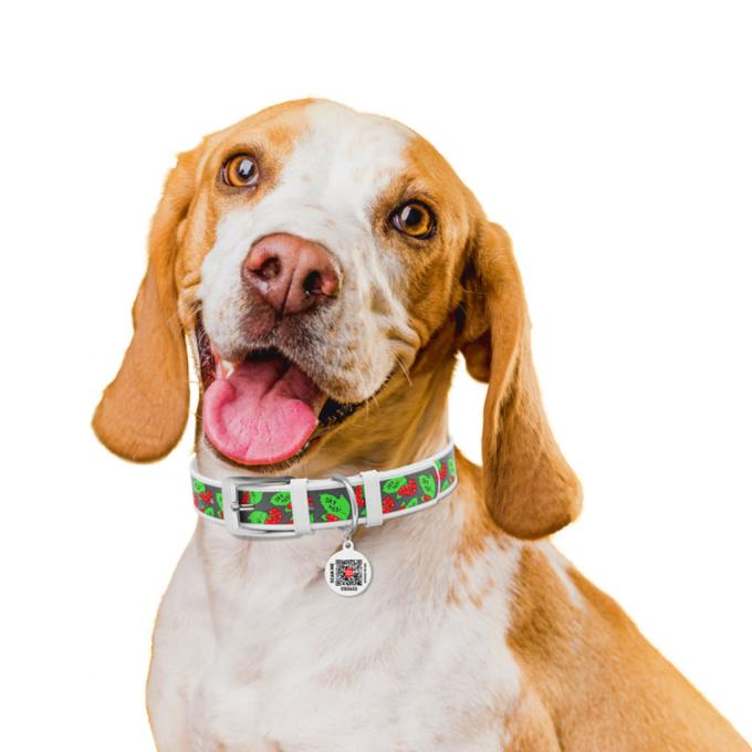 WAUDOG 3606-0228-15