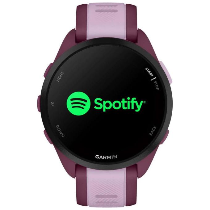 Garmin 010-02863-33