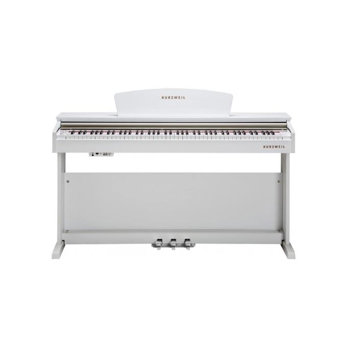 Kurzweil 285608