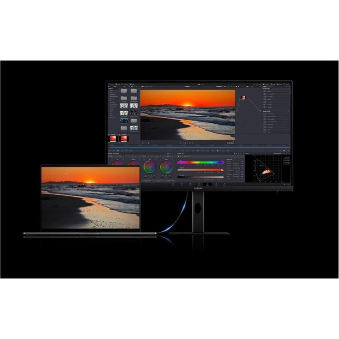 Xiaomi ELA6221EU