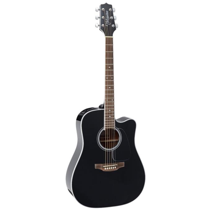 Takamine 234724