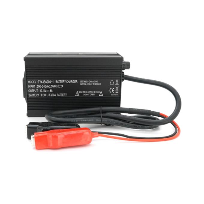 VOLTRONIC FY4386000-1
