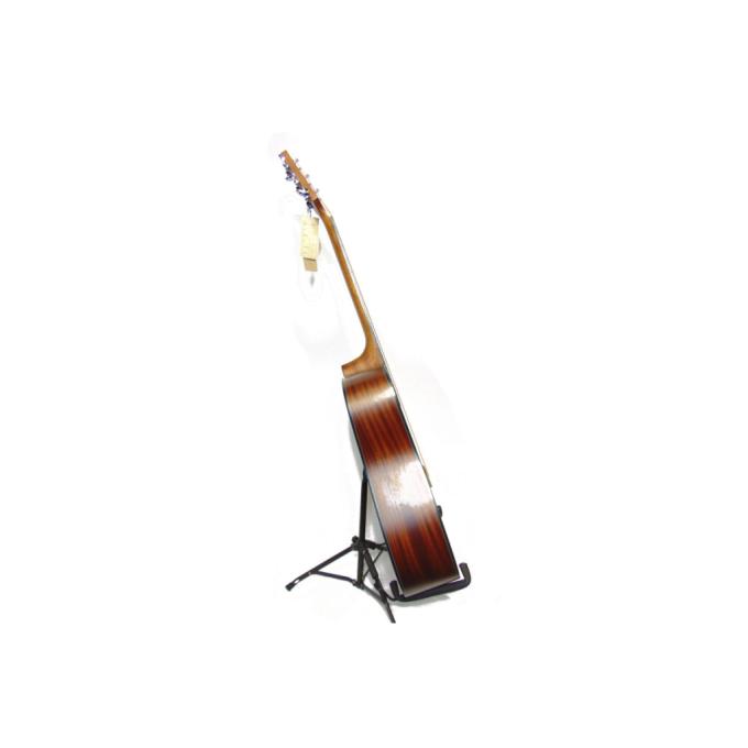 Takamine 226785
