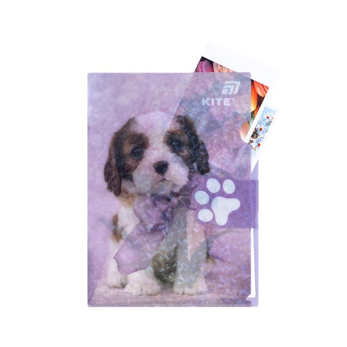 Kite R25-248