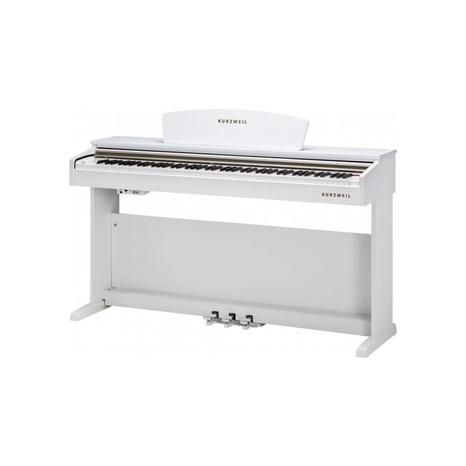 Kurzweil 285608
