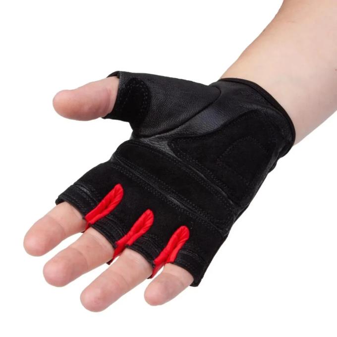 PowerPlay PP_2222_XL_Black