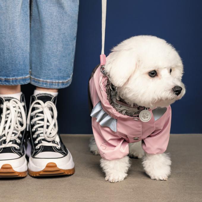 Pet Fashion 4823082429882