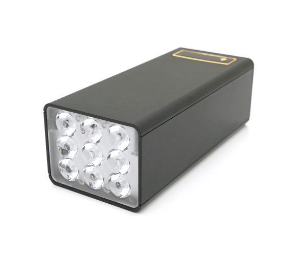 VOLTRONIC D21-PD