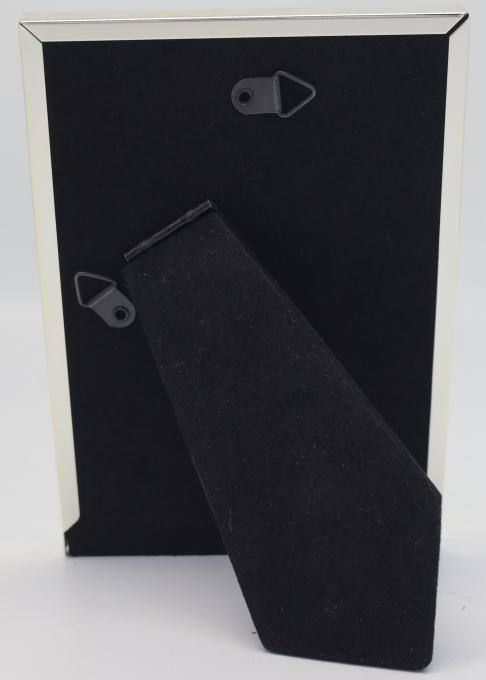 EVG S02 Silver