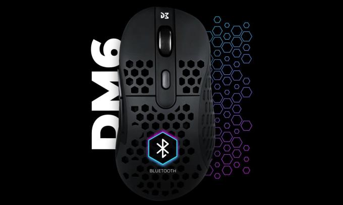DM DM6 HOLEY TRIO