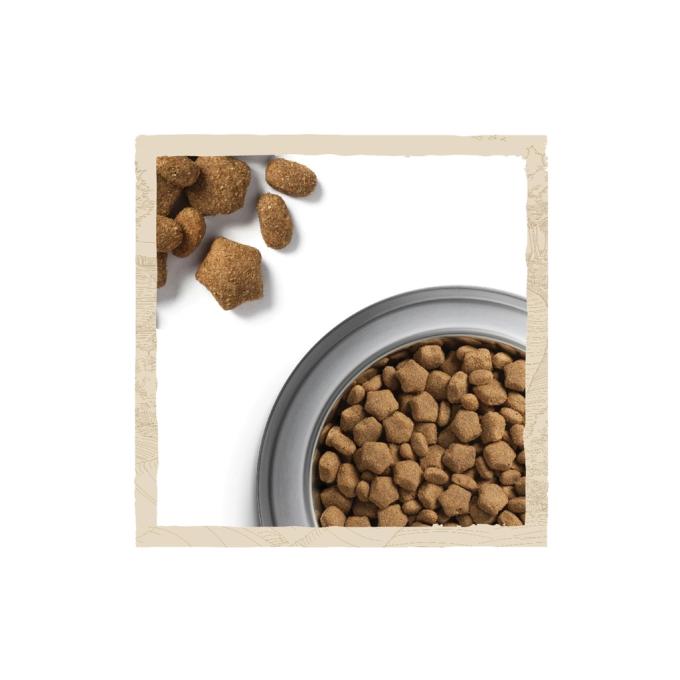 Purina Dog Chow 7613034488268
