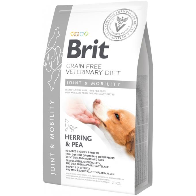 Brit GF VetDiets 8595602528257