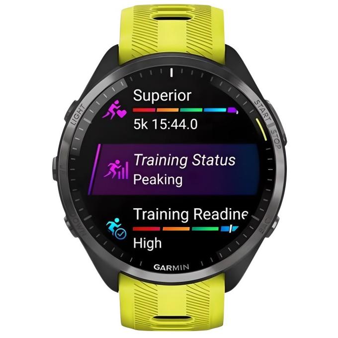 Garmin 010-02809-12