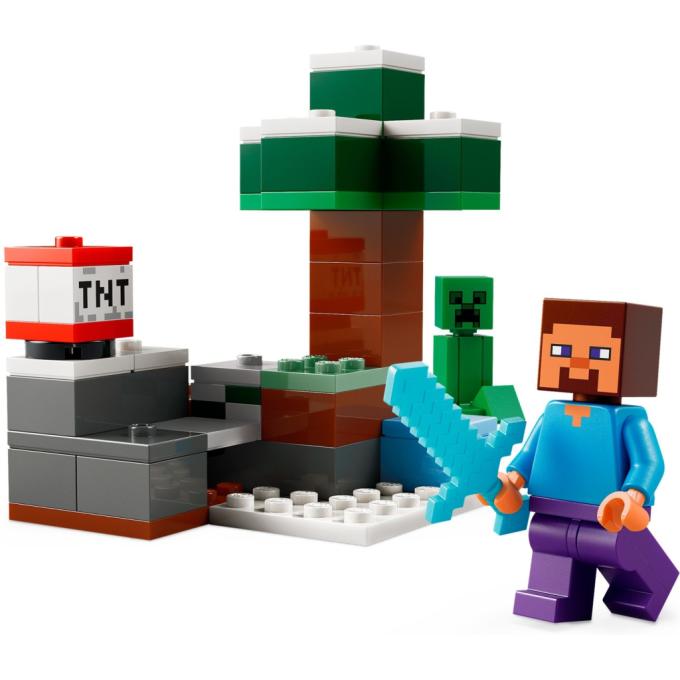 LEGO 21583
