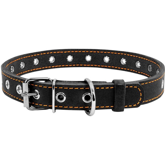 Collar 01511