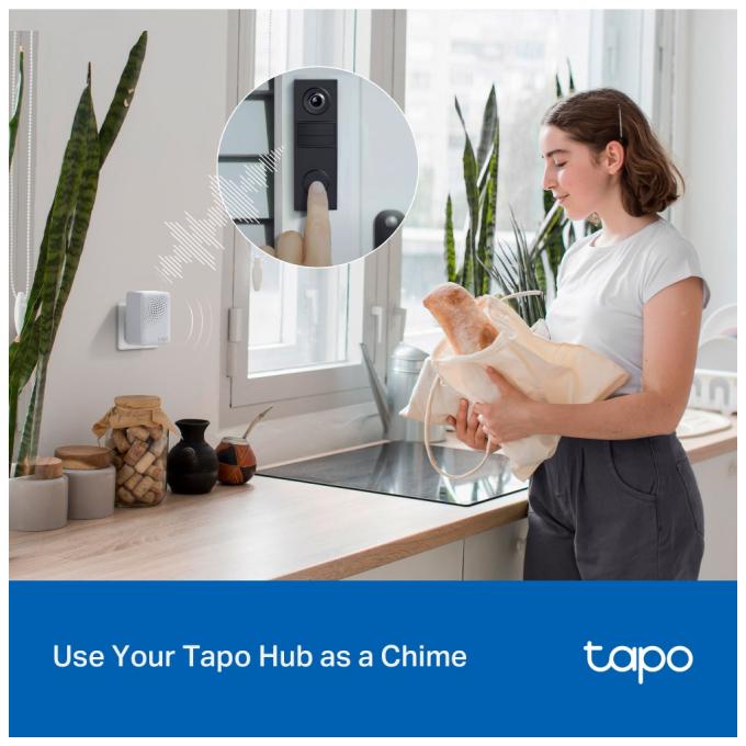 TP-Link TAPO-D205