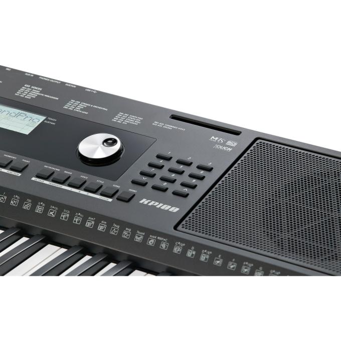 Kurzweil 283682