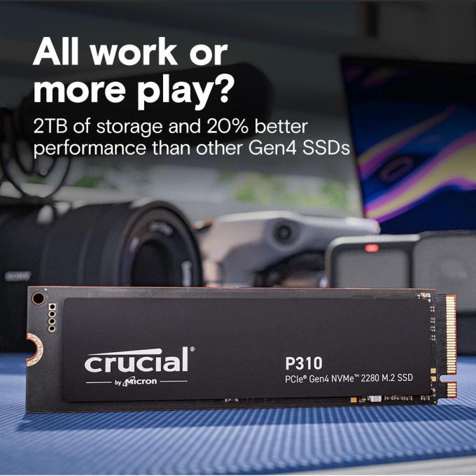 Crucial CT1000P310SSD8
