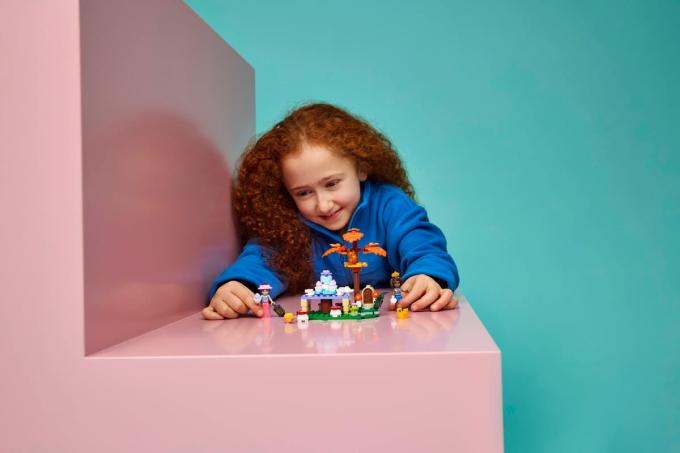 LEGO 42690