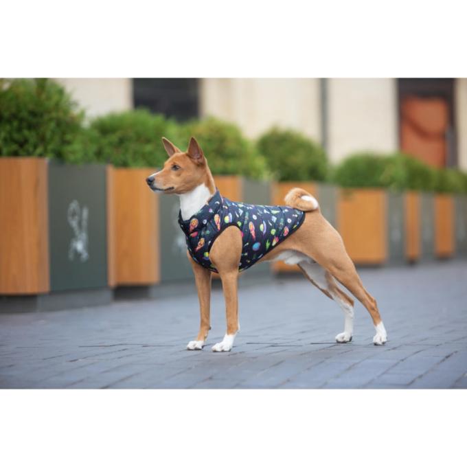 WAUDOG 0965-0281