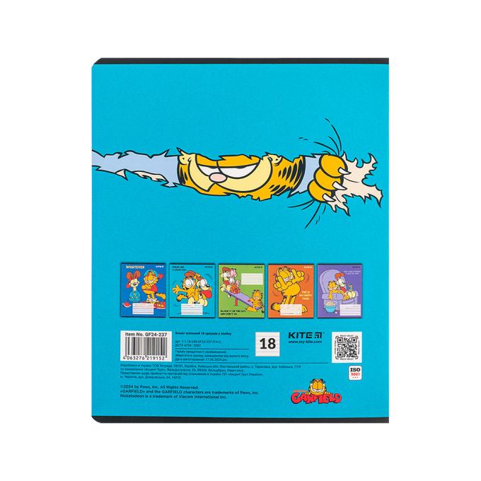 Kite GF24-237
