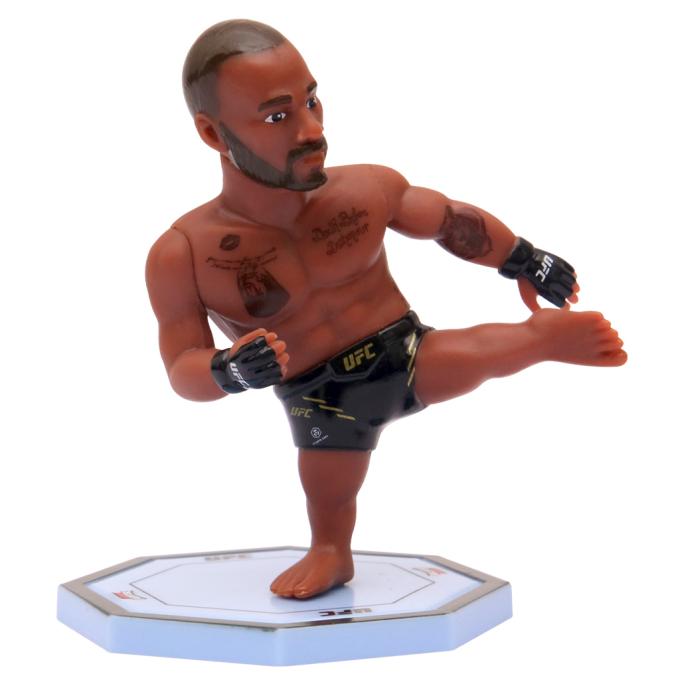 UFC UFC2010-4