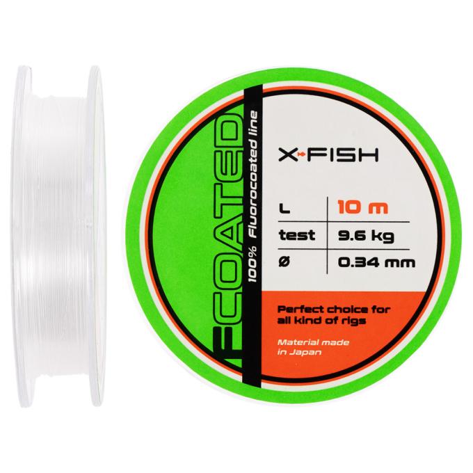 X-Fish 1917.01.30