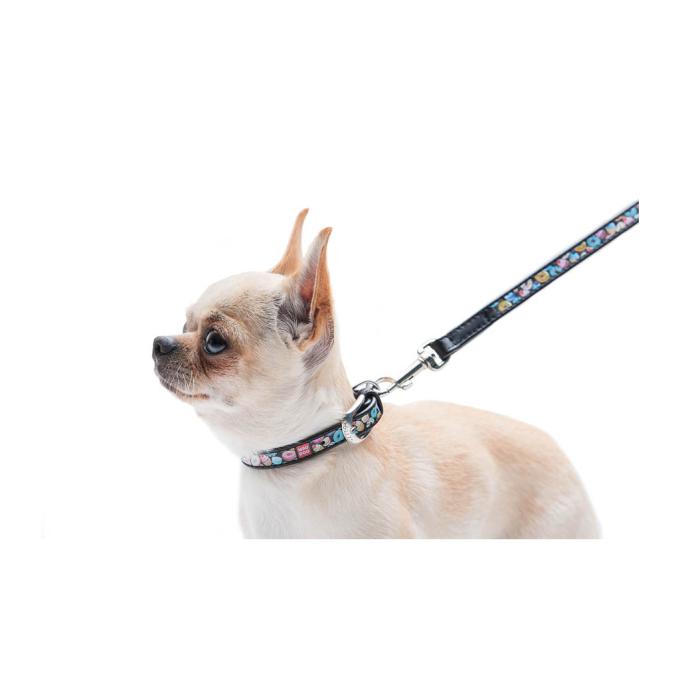 WAUDOG 37151