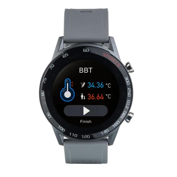 Globex Smart Watch Me2 (Gray)