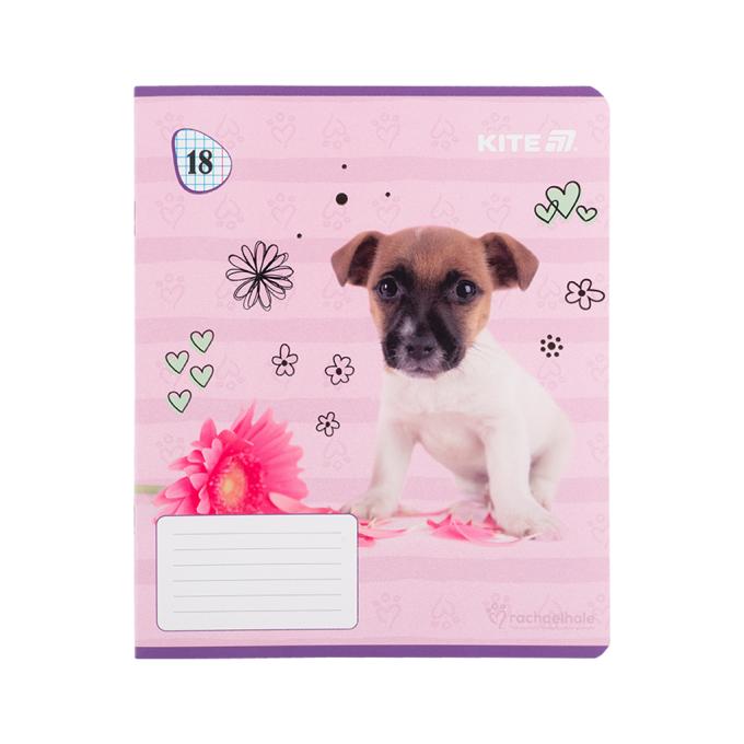 Kite R25-236