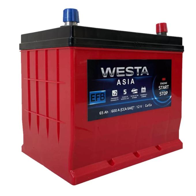Westa 6CT-65 АзЕ ASIA EFB (WAE650)