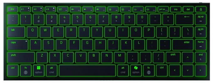 Razer RZ03-02360100-R3M1