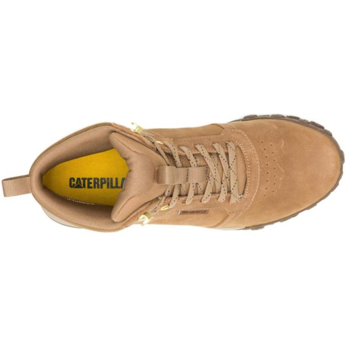 Caterpillar (CAT) 195020575390