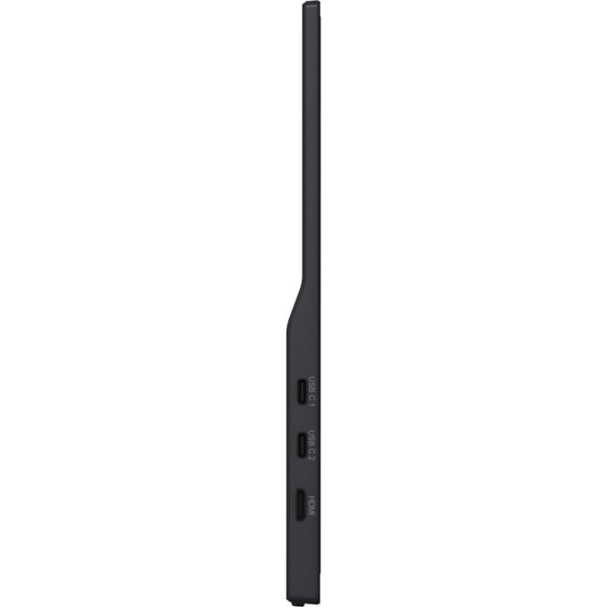 Iiyama P1671HSC-B1