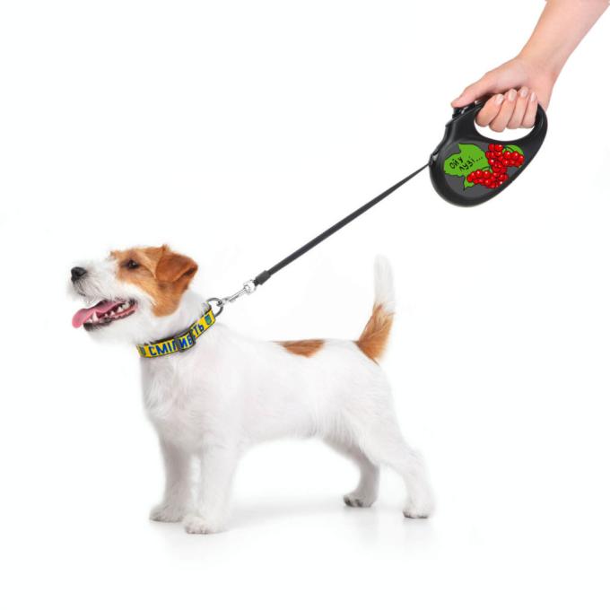 WAUDOG 8126-0228-01