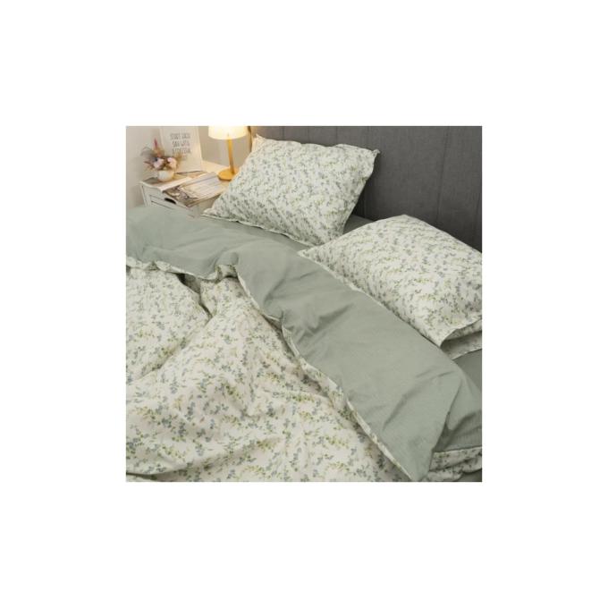 Tiare 155_Luxe_dv