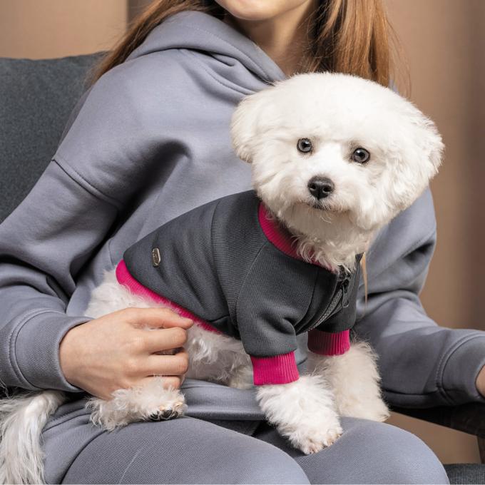 Pet Fashion 4823082430291