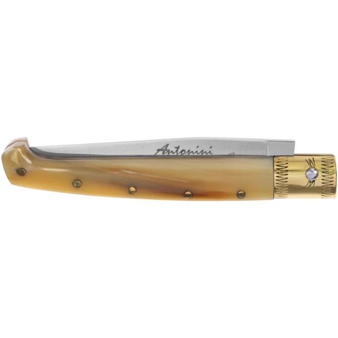 Antonini Pocket 607/17/CO