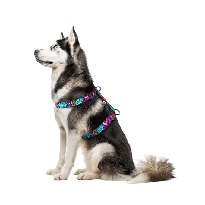WAUDOG 323-0062
