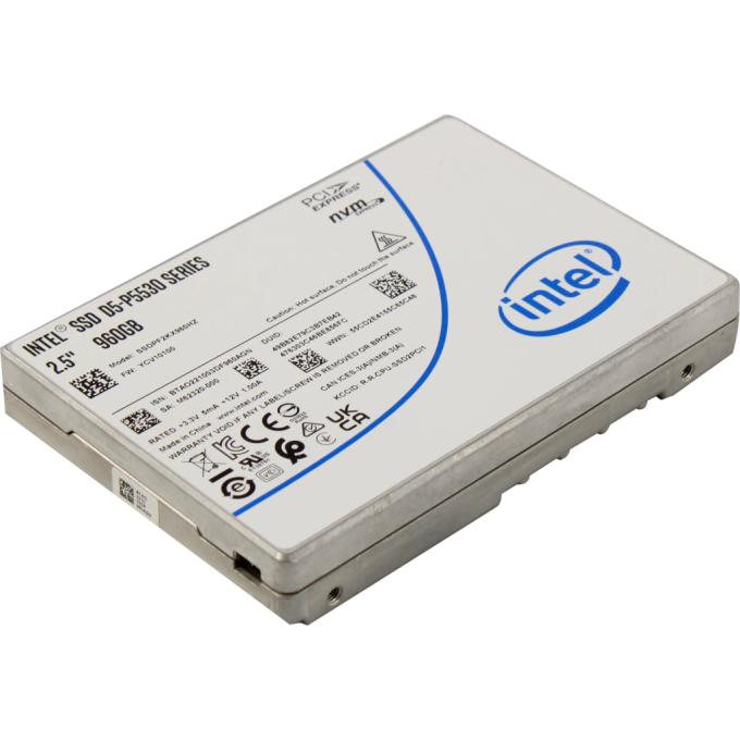 INTEL SSDPF2KX960HZN1
