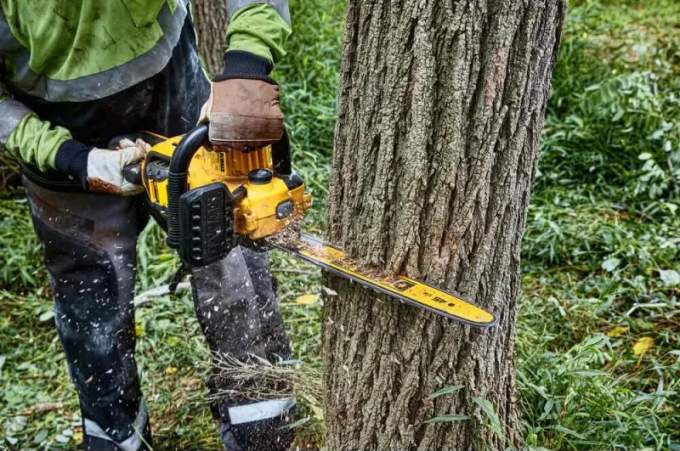 DeWALT DCMCS574N