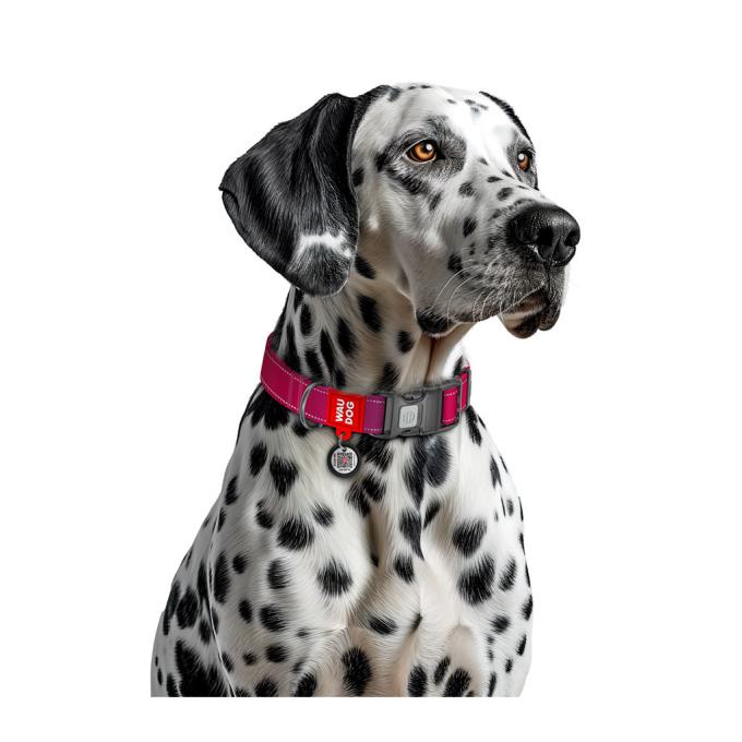 WAUDOG 52097
